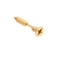 Shangjie OEM Vacuum Titanium Steel Screw Earrings stainless titanium earings industrial earrings